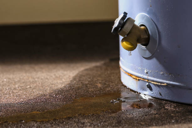 Best Flooded house restoration  in Sleepy Hollow, NY