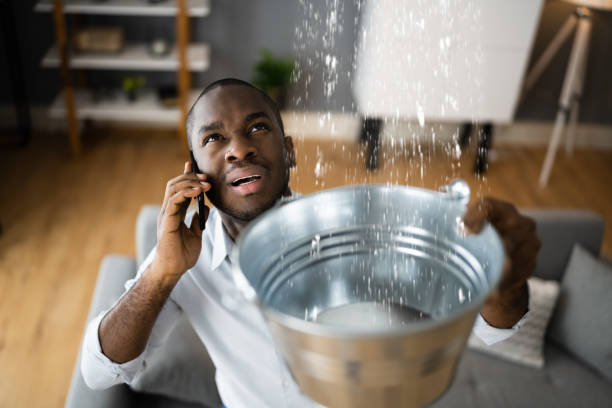 Best Flood damage cleanup  in Sleepy Hollow, NY