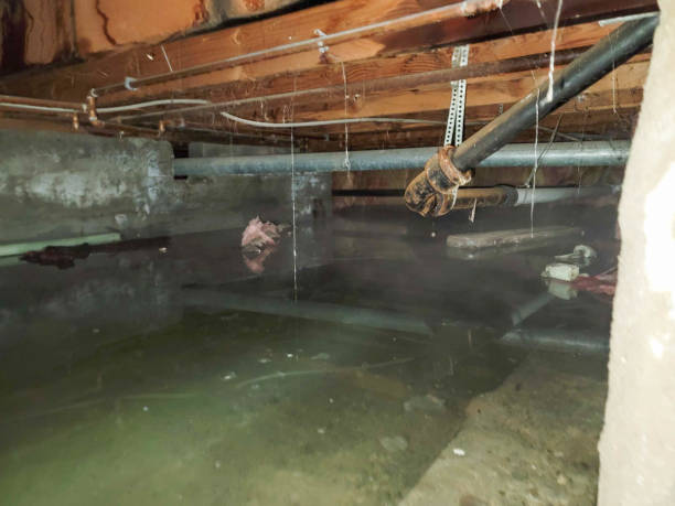 Best Flooded house restoration  in Sleepy Hollow, NY