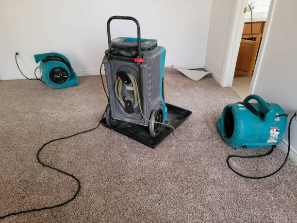 Best Carpet water damage restoration  in Sleepy Hollow, NY