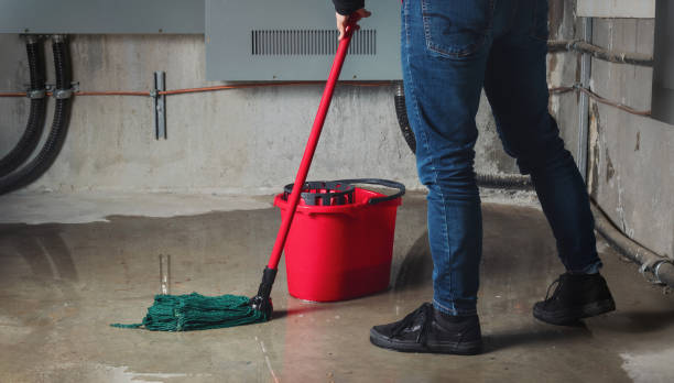 Best Water damage contractors near me  in Sleepy Hollow, NY